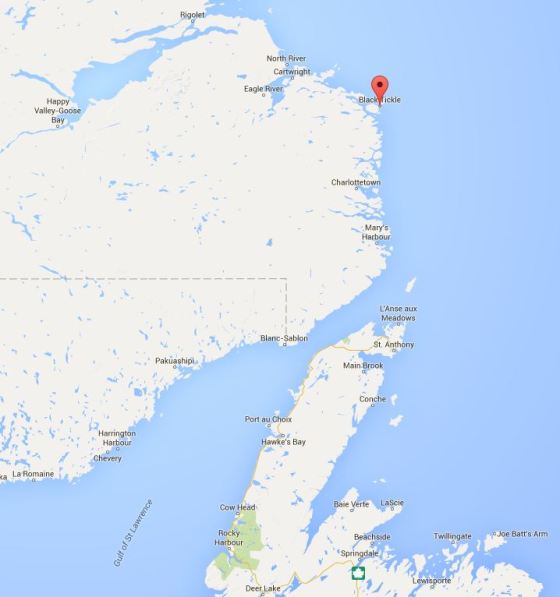 Black-tickle-map-Labrador 2016